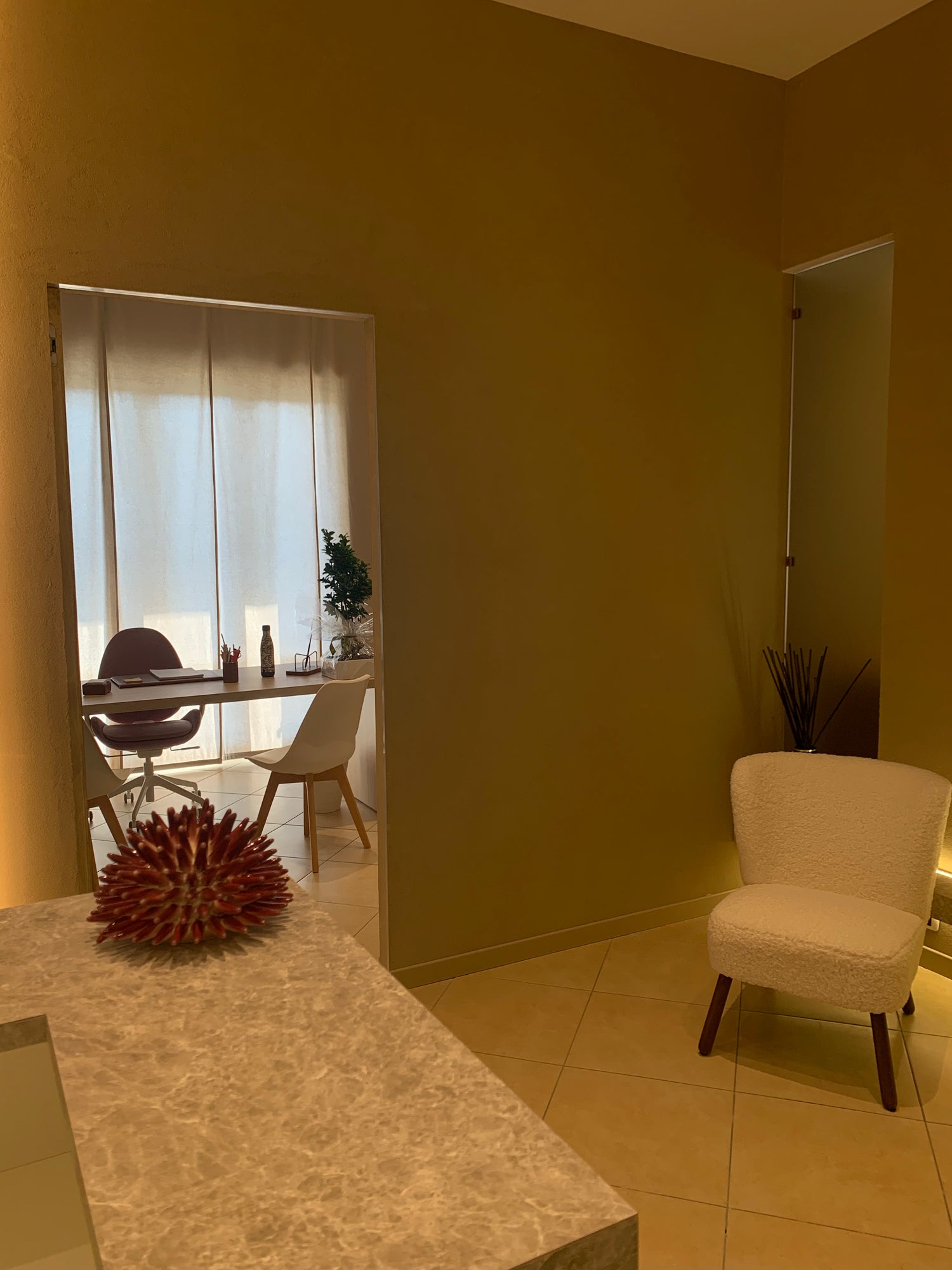 Foto studio - Nutrizionista a Roccapiemonte , Salerno